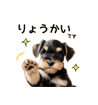 毎日のふわふわシュナウザー【日常会話】（個別スタンプ：12）