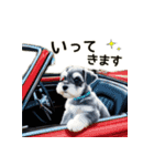 毎日のふわふわシュナウザー【日常会話】（個別スタンプ：14）