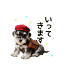 毎日のふわふわシュナウザー【日常会話】（個別スタンプ：19）