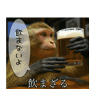 見ざる言わざるその他の猿（個別スタンプ：4）