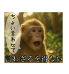 見ざる言わざるその他の猿（個別スタンプ：6）