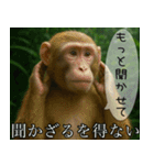 見ざる言わざるその他の猿（個別スタンプ：7）