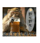 見ざる言わざるその他の猿（個別スタンプ：8）