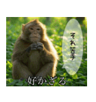 見ざる言わざるその他の猿（個別スタンプ：9）