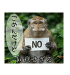 見ざる言わざるその他の猿（個別スタンプ：10）