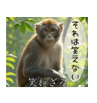 見ざる言わざるその他の猿（個別スタンプ：18）