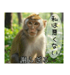 見ざる言わざるその他の猿（個別スタンプ：19）