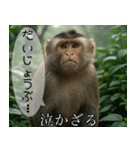 見ざる言わざるその他の猿（個別スタンプ：20）