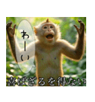見ざる言わざるその他の猿（個別スタンプ：21）