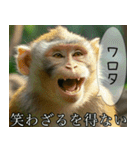 見ざる言わざるその他の猿（個別スタンプ：22）