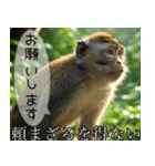 見ざる言わざるその他の猿（個別スタンプ：25）
