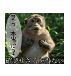 見ざる言わざるその他の猿（個別スタンプ：29）