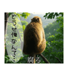 見ざる言わざるその他の猿（個別スタンプ：31）