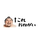 省スペース力士！毎日使えて超便利返信！（個別スタンプ：17）