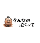 省スペース力士！毎日使えて超便利返信！（個別スタンプ：30）