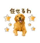 ゴールデンレトリバー☆毎日使う！返信用（個別スタンプ：5）