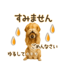 ゴールデンレトリバー☆毎日使う！返信用（個別スタンプ：16）