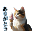 飛び出す★夏を感じる・三毛猫【夏、海】（個別スタンプ：4）