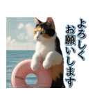 飛び出す★夏を感じる・三毛猫【夏、海】（個別スタンプ：5）