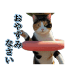 飛び出す★夏を感じる・三毛猫【夏、海】（個別スタンプ：8）