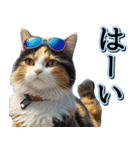 飛び出す★夏を感じる・三毛猫【夏、海】（個別スタンプ：9）