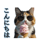 飛び出す★夏を感じる・三毛猫【夏、海】（個別スタンプ：13）