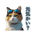 飛び出す★夏を感じる・三毛猫【夏、海】（個別スタンプ：14）