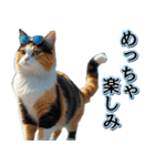 飛び出す★夏を感じる・三毛猫【夏、海】（個別スタンプ：17）