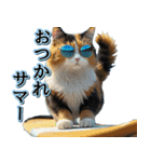 飛び出す★夏を感じる・三毛猫【夏、海】（個別スタンプ：19）