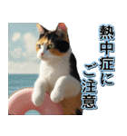 飛び出す★夏を感じる・三毛猫【夏、海】（個別スタンプ：20）