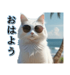 飛び出す★夏を感じる・白猫【夏、海】（個別スタンプ：1）