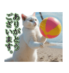 飛び出す★夏を感じる・白猫【夏、海】（個別スタンプ：3）