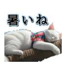 飛び出す★夏を感じる・白猫【夏、海】（個別スタンプ：16）