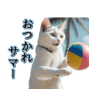 飛び出す★夏を感じる・白猫【夏、海】（個別スタンプ：19）
