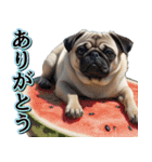 飛び出す★夏を感じる・パグ犬【夏、海】（個別スタンプ：4）