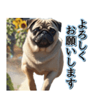 飛び出す★夏を感じる・パグ犬【夏、海】（個別スタンプ：5）