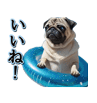 飛び出す★夏を感じる・パグ犬【夏、海】（個別スタンプ：6）