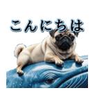 飛び出す★夏を感じる・パグ犬【夏、海】（個別スタンプ：13）