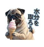 飛び出す★夏を感じる・パグ犬【夏、海】（個別スタンプ：18）