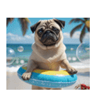 飛び出す★夏を感じる・パグ犬【夏、海】（個別スタンプ：21）