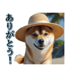 飛び出す★夏を感じる・芝犬【夏、海】しば（個別スタンプ：4）