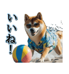 飛び出す★夏を感じる・芝犬【夏、海】しば（個別スタンプ：6）