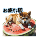 飛び出す★夏を感じる・芝犬【夏、海】しば（個別スタンプ：7）