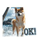 飛び出す★夏を感じる・芝犬【夏、海】しば（個別スタンプ：10）