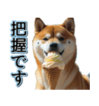 飛び出す★夏を感じる・芝犬【夏、海】しば（個別スタンプ：11）