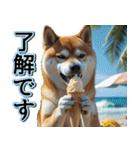 飛び出す★夏を感じる・芝犬【夏、海】しば（個別スタンプ：12）