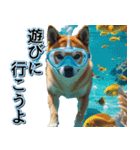 飛び出す★夏を感じる・芝犬【夏、海】しば（個別スタンプ：17）