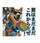 飛び出す★夏を感じる・芝犬【夏、海】しば（個別スタンプ：19）