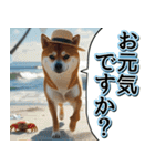 飛び出す★夏を感じる・芝犬【夏、海】しば（個別スタンプ：22）