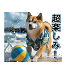 飛び出す★夏を感じる・芝犬【夏、海】しば（個別スタンプ：23）